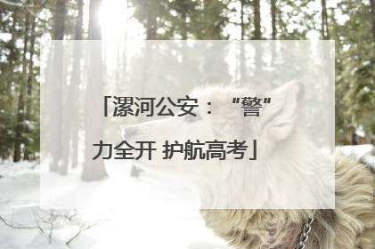 漯河公安：“警”力全开 护航高考
