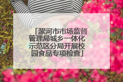 漯河市市场监督管理局城乡一体化示范区分局开展校园食品专项检查