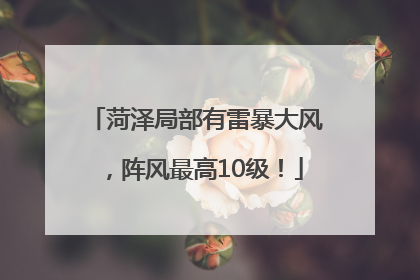 菏泽局部有雷暴大风，阵风最高10级！