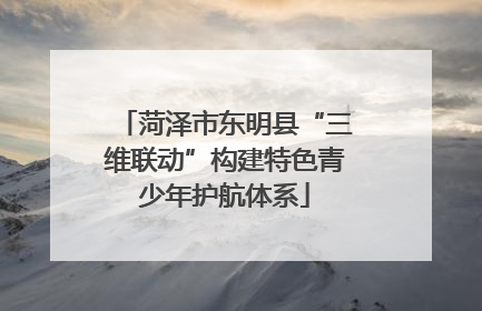 菏泽市东明县“三维联动”构建特色青少年护航体系