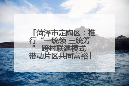 菏泽市定陶区：推行“一统领 三统筹” 跨村联建模式 带动片区共同富裕
