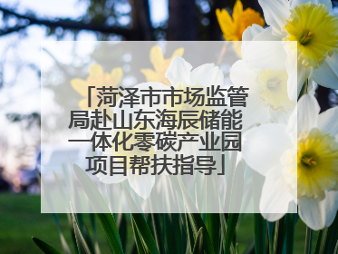 菏泽市市场监管局赴山东海辰储能一体化零碳产业园项目帮扶指导