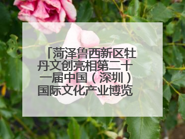 菏泽鲁西新区牡丹文创亮相第二十一届中国（深圳）国际文化产业博览交易会