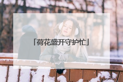 荷花盛开守护忙