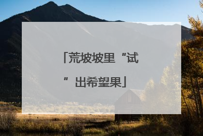 荒坡坡里“试”出希望果
