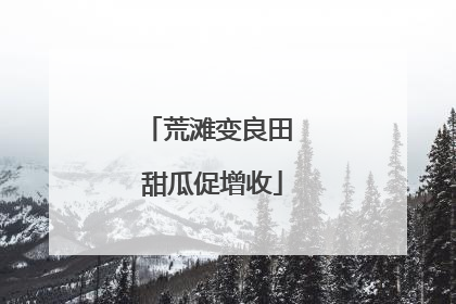 荒滩变良田 甜瓜促增收
