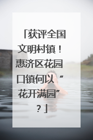 获评全国文明村镇！惠济区花园口镇何以“花开满园”？