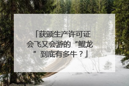 获颁生产许可证 会飞又会游的“鲲龙”到底有多牛？