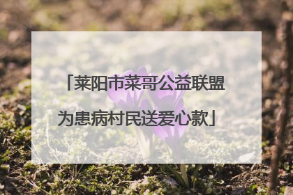 莱阳市菜哥公益联盟为患病村民送爱心款
