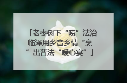 老枣树下“唠”法治 临泽用乡音乡情“烹”出普法“暖心宴”