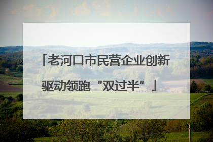 老河口市民营企业创新驱动领跑“双过半”