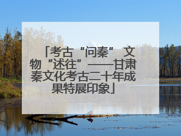考古“问秦” 文物“述往”——甘肃秦文化考古二十年成果特展印象