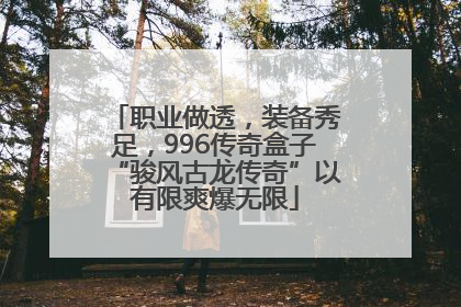 职业做透，装备秀足，996传奇盒子“骏风古龙传奇”以有限爽爆无限