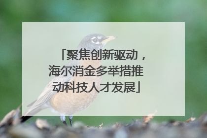 聚焦创新驱动，海尔消金多举措推动科技人才发展