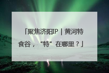聚焦济阳IP｜黄河特食谷，“特”在哪里？