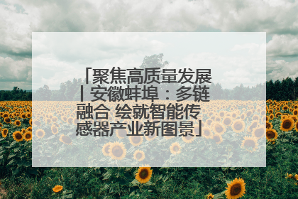 聚焦高质量发展丨安徽蚌埠：多链融合 绘就智能传感器产业新图景