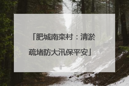 肥城南栾村：清淤疏堵防大汛保平安