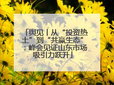 舆见丨从“投资热土”到“共赢生态”：峰会见证山东市场吸引力跃升
