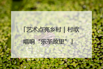 艺术点亮乡村｜村歌唱响“乐圣故里”