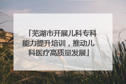芜湖市开展儿科专科能力提升培训，推动儿科医疗高质量发展