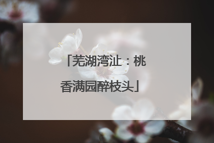 芜湖湾沚：桃香满园醉枝头