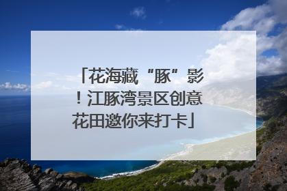 花海藏“豚”影！江豚湾景区创意花田邀你来打卡