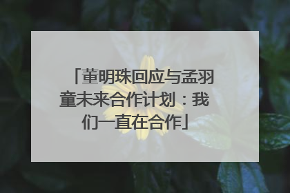 董明珠回应与孟羽童未来合作计划：我们一直在合作