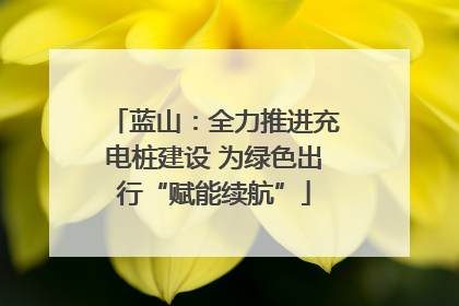 蓝山：全力推进充电桩建设 为绿色出行“赋能续航”