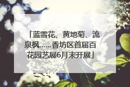蓝雪花、黄地菊、流泉枫……香坊区首届百花园艺展6月末开展