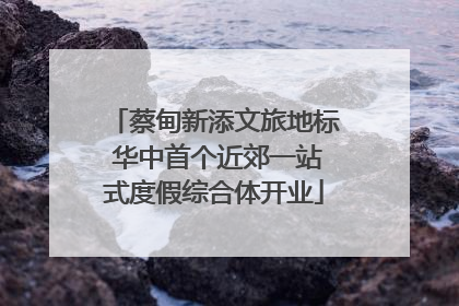 蔡甸新添文旅地标 华中首个近郊一站式度假综合体开业