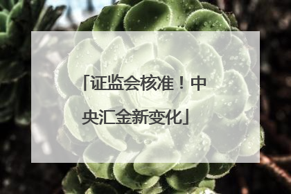 证监会核准！中央汇金新变化