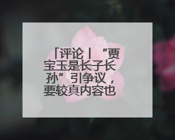 评论丨“贾宝玉是长子长孙”引争议，要较真内容也要包容失误