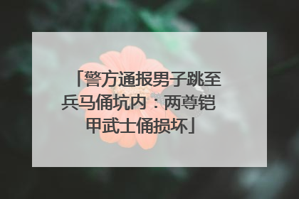 警方通报男子跳至兵马俑坑内：两尊铠甲武士俑损坏