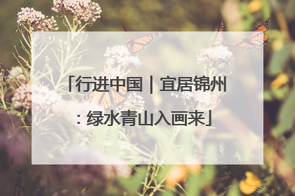 行进中国｜宜居锦州：绿水青山入画来