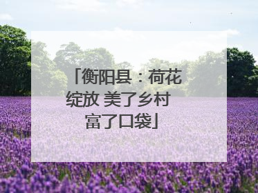 衡阳县：荷花绽放 美了乡村 富了口袋