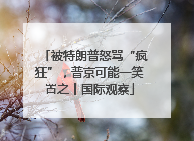 被特朗普怒骂“疯狂”，普京可能一笑置之丨国际观察