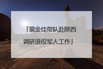 裴金佳带队赴陕西调研退役军人工作
