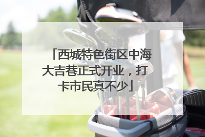 西城特色街区中海大吉巷正式开业，打卡市民真不少