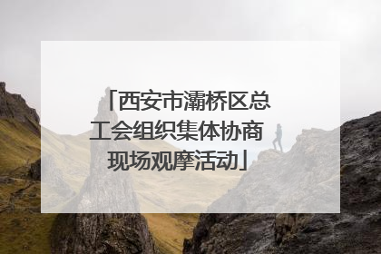 西安市灞桥区总工会组织集体协商现场观摩活动