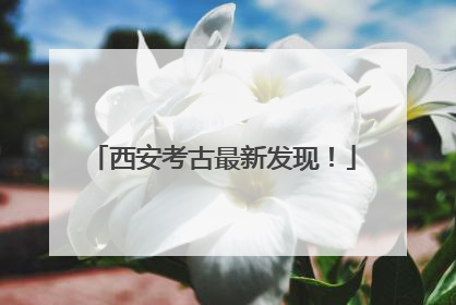 西安考古最新发现！