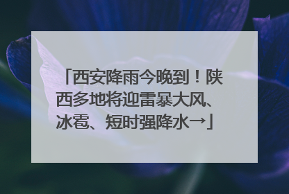 西安降雨今晚到！陕西多地将迎雷暴大风、冰雹、短时强降水→