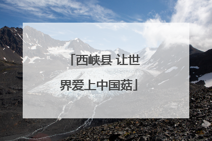 西峡县 让世界爱上中国菇