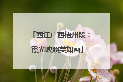 西江广西梧州段：霞光映照美如画