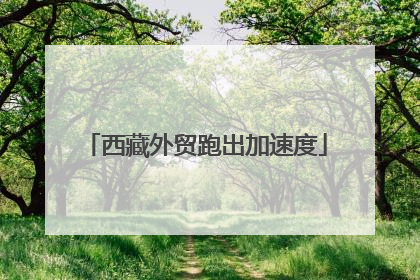 西藏外贸跑出加速度