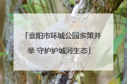 襄阳市环城公园多策并举 守护护城河生态