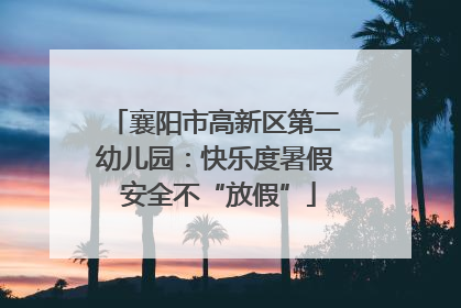 襄阳市高新区第二幼儿园：快乐度暑假 安全不“放假”