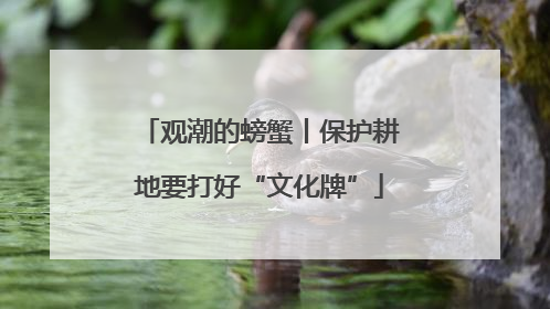 观潮的螃蟹丨保护耕地要打好“文化牌”