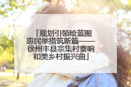 规划引领绘蓝图 惠民举措筑新篇——徐州丰县宗集村奏响和美乡村振兴曲