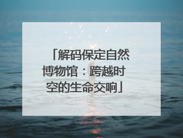 解码保定自然博物馆：跨越时空的生命交响
