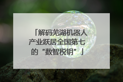解码芜湖机器人产业跃居全国第七的“数智税钥”